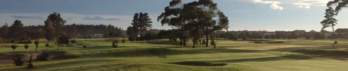 Waimairi Beach Banner