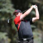 Matt McLean Swing