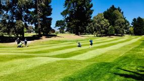 Find out more about Avondale Golf Club