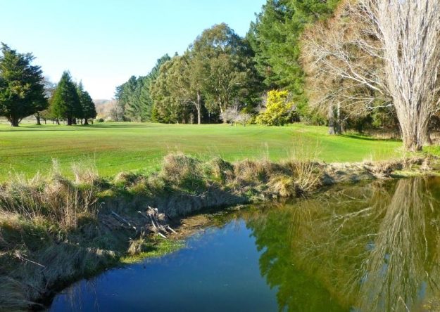 SetRatioSize800600-Cheviot-3